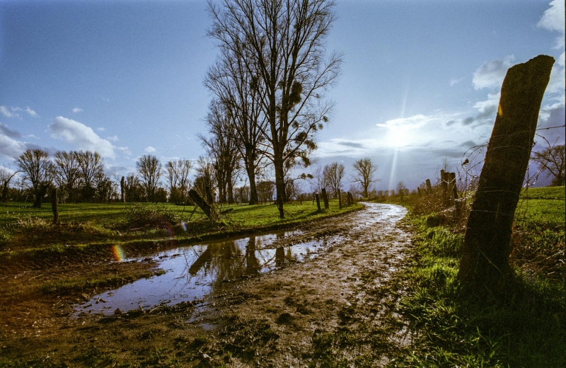 Urdenbacher Kämpe, Contax ST, Distagon 4/18