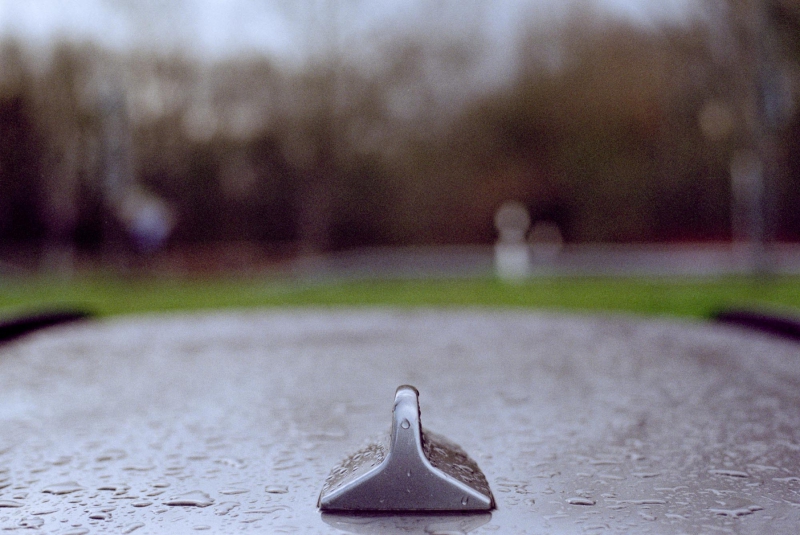 Regentropfen, Contax ST, Planar 1,7/50